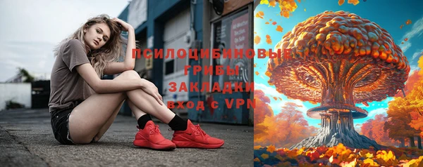 твердый Алексеевка