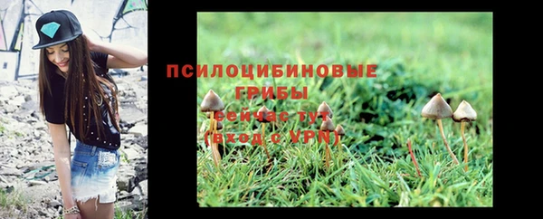 кокаин Алексин