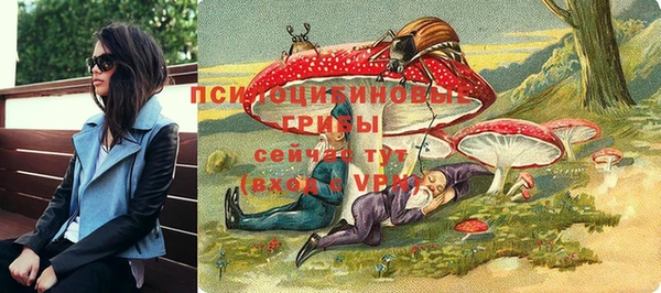 твердый Алексеевка
