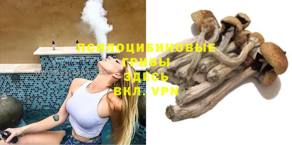 твердый Алексеевка
