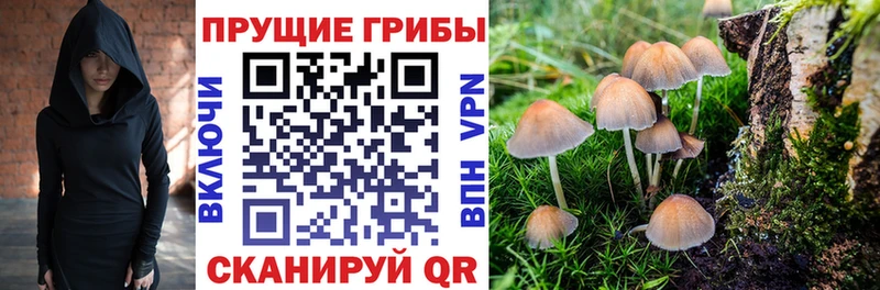 Галлюциногенные грибы прущие грибы  Купить закладки  Беломорск 